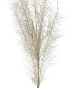 5984 PLUME TAUBENBLAU 80CM